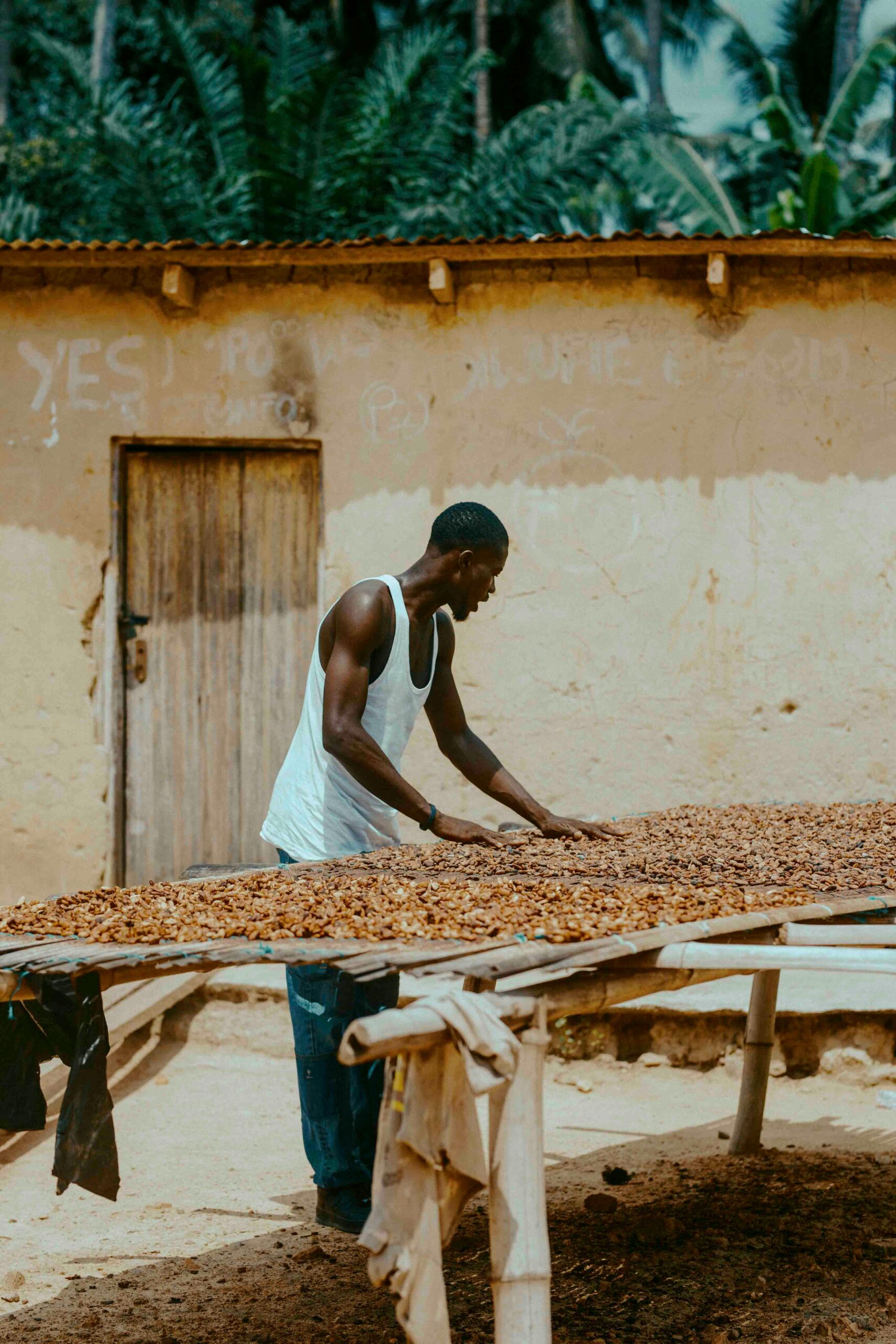 pexels-zeal-creative-studios-58866141-31283900